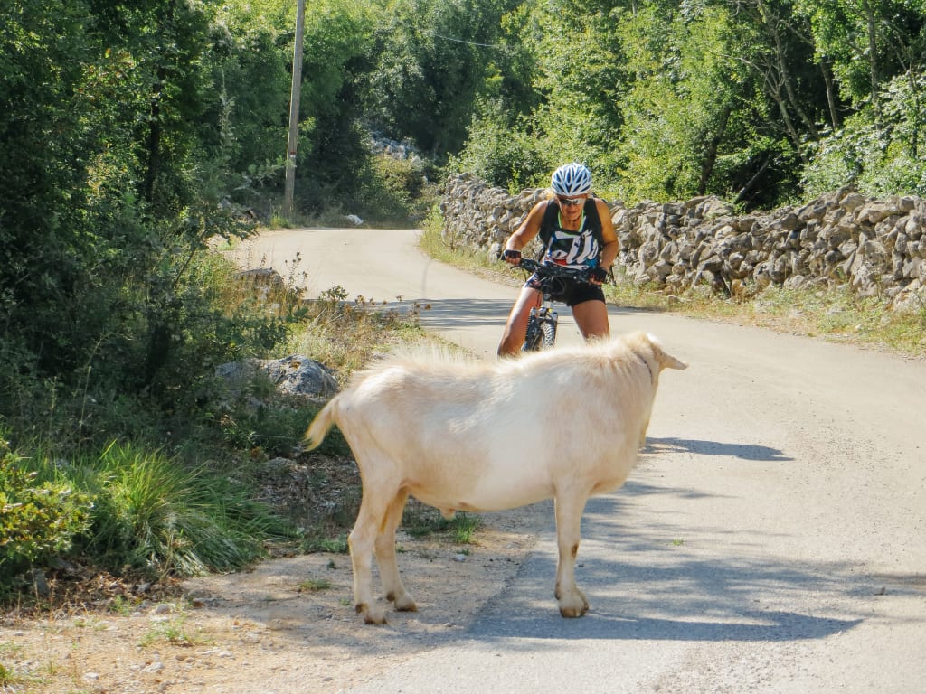 Radfahrer auf einem ländlichen Weg, Kroatien, Radurlaub